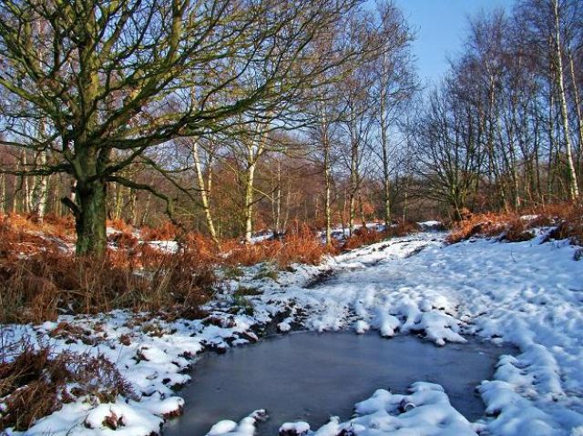 Zdjęcia: out of road , okolice Doncaster, ,,epoka lodowcowa ,,- UK, ANGLIA Zdjęcia: out of road , okolice Doncaster, ,,epoka lodowcowa ,,- UK, ANGLIA