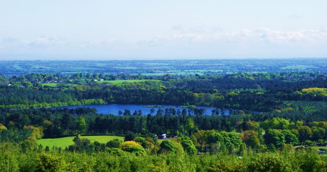 Zdjęcia: Lasy Delamere, Cheschire, Jezioro w lasach Delamere, ANGLIA Zdjęcia: Lasy Delamere, Cheschire, Jezioro w lasach Delamere, ANGLIA