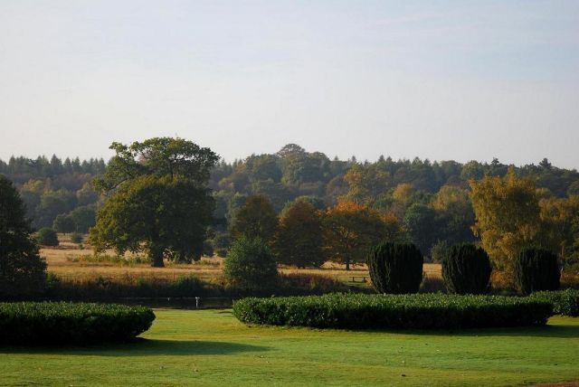 Zdjęcia: Clumber Park, Notthingamshire, niedziela w Clumber Park, ANGLIA Zdjęcia: Clumber Park, Notthingamshire, niedziela w Clumber Park, ANGLIA