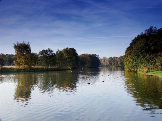 Zdjęcia: Clumber Park, Notthingamshire, Clumber Park, ANGLIA Zdjęcia: Clumber Park, Notthingamshire, Clumber Park, ANGLIA