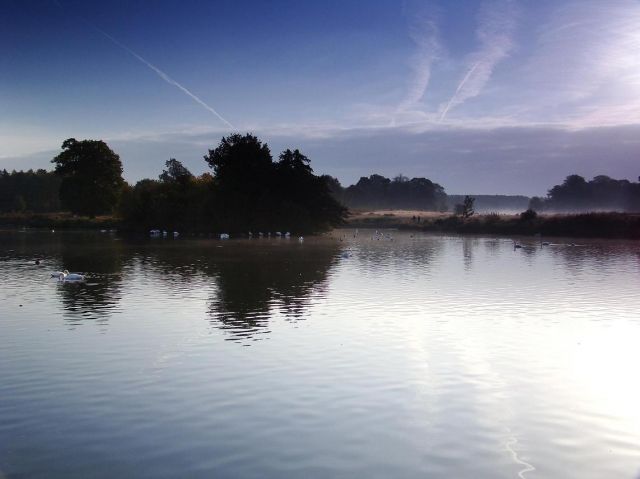 Zdjęcia: Clumber Park, Notthingamshire, niedzielny spacerek, ANGLIA Zdjęcia: Clumber Park, Notthingamshire, niedzielny spacerek, ANGLIA