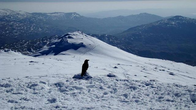 Zdjęcia: Scafell Pike, Lake District, czarny samotnik, ANGLIA Zdjęcia: Scafell Pike, Lake District, czarny samotnik, ANGLIA