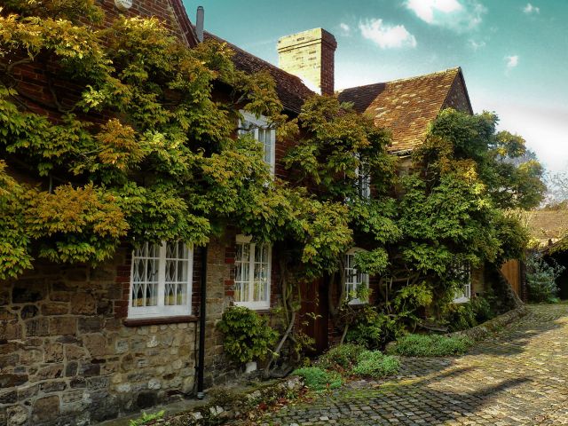 Zdjęcia: Petworth, West Sussex, Wśród winorośli, ANGLIA Zdjęcia: Petworth, West Sussex, Wśród winorośli, ANGLIA