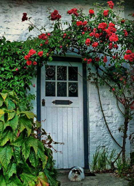 Zdjęcia: Bognor Regis, West Sussex, Konkurs "Drzwi świata", ANGLIA Zdjęcia: Bognor Regis, West Sussex, Konkurs "Drzwi świata", ANGLIA