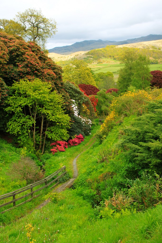 Zdjęcia: Anglia, Cumbria, Muncaster Castle Gardens, ANGLIA Zdjęcia: Anglia, Cumbria, Muncaster Castle Gardens, ANGLIA