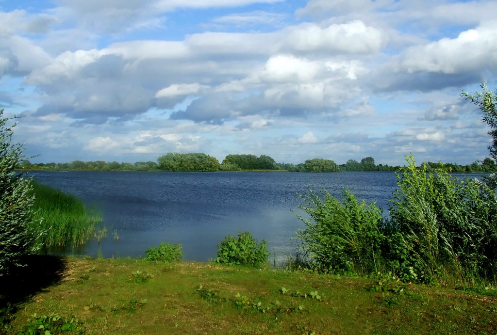 Zdjęcia: Fen Drayton Lakes, Cambridgeshire, Fen Drayton Lakes 1, ANGLIA Zdjęcia: Fen Drayton Lakes, Cambridgeshire, Fen Drayton Lakes 1, ANGLIA