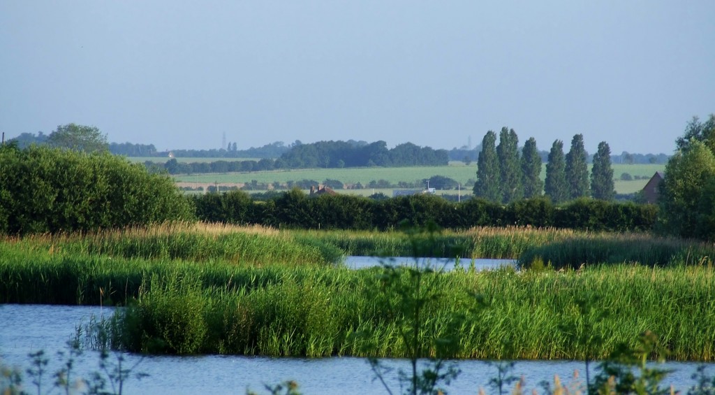 Zdjęcia: Fen Drayton Lakes, Cambridgeshire, Fen Drayton Lake 2, ANGLIA Zdjęcia: Fen Drayton Lakes, Cambridgeshire, Fen Drayton Lake 2, ANGLIA