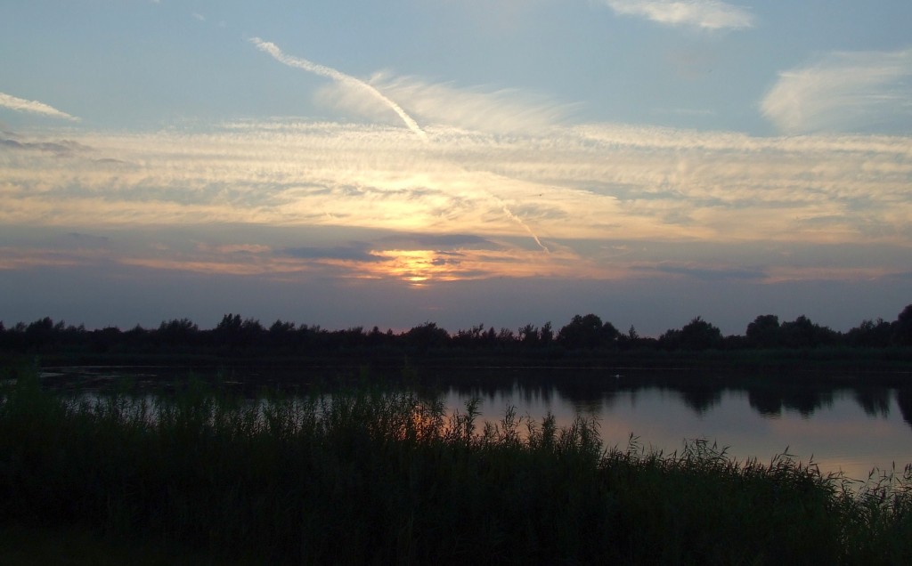 Zdjęcia: Fen Drayton Lakes, Cambridgeshire, Fen Drayton Lake 4, ANGLIA Zdjęcia: Fen Drayton Lakes, Cambridgeshire, Fen Drayton Lake 4, ANGLIA