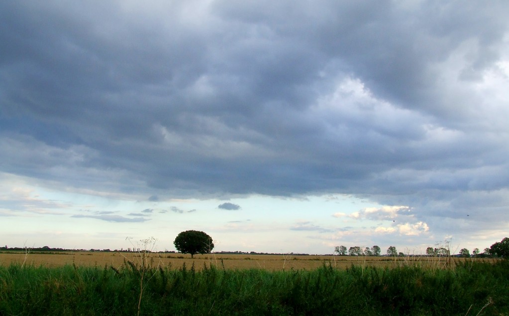 Zdjęcia: Fen Drayton Lakes, Cambridgeshire, Fen Drayton Lake 14, ANGLIA Zdjęcia: Fen Drayton Lakes, Cambridgeshire, Fen Drayton Lake 14, ANGLIA
