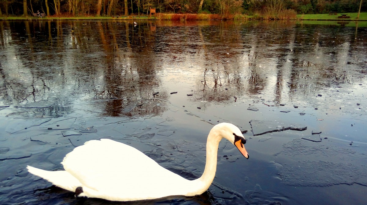 Zdjęcia: Preston, Lancashire, Lodołamacz, ANGLIA Zdjęcia: Preston, Lancashire, Lodołamacz, ANGLIA