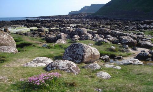 Zdjecie ANGLIA / Irlandia Pn. / Co. Antrim / Grobla Olbrzyma