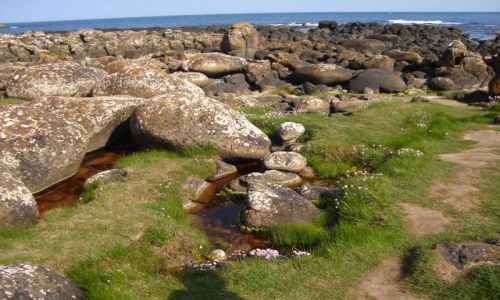 Zdjcie ANGLIA / Irlandia Pn. / Co. Antrim / Grobla Olbrzyma