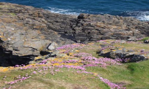 Zdjcie ANGLIA / Irlandia Pn. / Hrabstwo Antrim / Wysoko i kolorowo :)