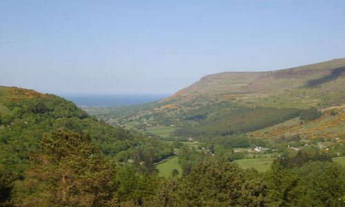 Zdjcie ANGLIA / Irlandia Pn. / Hrabstwo Antrim / Zielona Irlandia :)