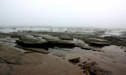 Zdjecie ANGLIA / North Tyneside / Whitley Bay  / Mglisto