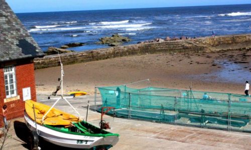 Zdjecie ANGLIA / North Tyneside / Cullercoats / Cullercoats 2