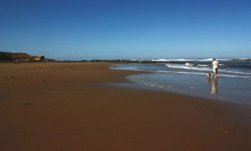 Zdjcie ANGLIA / North Tyneside / Cullercoats / Plaa w Cullercoats