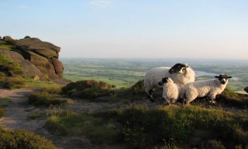 Zdjecie ANGLIA / Peak District / The Roaches / Roaches po raz 2