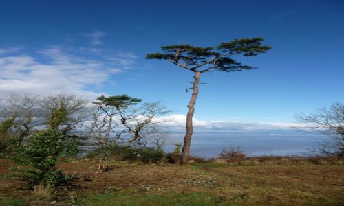 Zdjęcie ANGLIA / .. / weston super mare / widok na morze