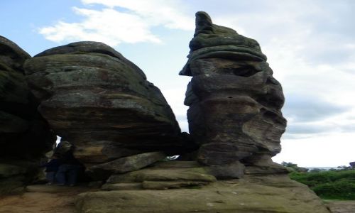 Zdjcie ANGLIA / North Yorkshire, England / Brimham Rocsks / Brimham Rocsks