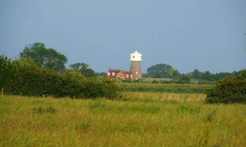 Zdjcie ANGLIA / Cambridgeshire / Fen Drayton Lakes / Fen Drayton Lake 8