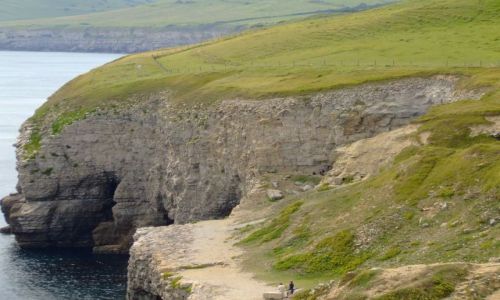 Zdjęcie ANGLIA / Swanage / poludniowa anglia / klif