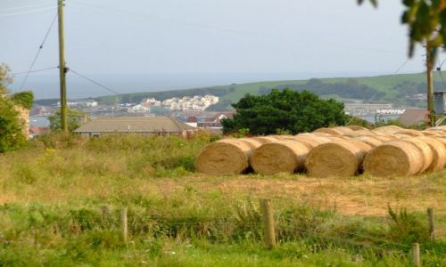 Zdjecie ANGLIA / Swanage / poludniowa anglia / wiejski klimacik