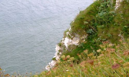 Zdjecie ANGLIA / Swanage / poludniowa anglia / hmmm....