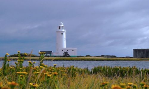 Zdjęcie ANGLIA / południowa Anglia / Keyhaven / yyy