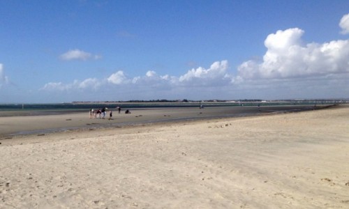 Zdjęcie ANGLIA / Worthing / Worthing / Spacery plażą