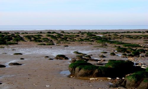 Zdjęcie ANGLIA / North Norfolk / Hunstanton / Morze Północne w czasie odpływu