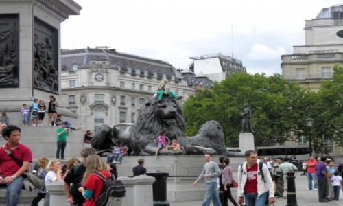 Zdjcie ANGLIA / Wielki Londyn / Londyn / Lew na Placu Trafalgar Square 
