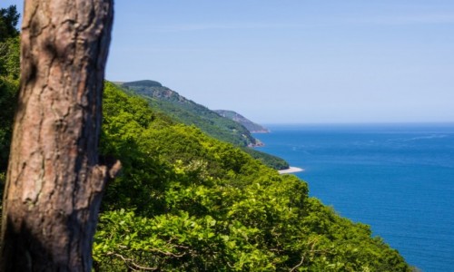 Zdjęcie ANGLIA / somerset / s.w.c.p / Ukryta plaża