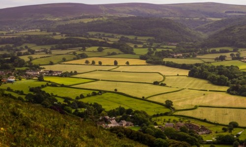 Zdjęcie ANGLIA / somerset / porlock / pola ciszy
