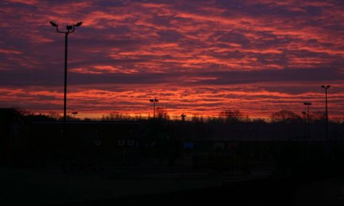 Zdjęcie ANGLIA / brak / Londyn - Streatham / Sympatyczny zimowy poranek :)