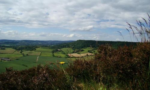 Zdjęcie ANGLIA / North Yorkshire / Sutton Bank / widok na strone polnocna