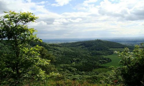 Zdjęcie ANGLIA / North Yorkshire / The Hambleton Hill / wolne chwile poza domem