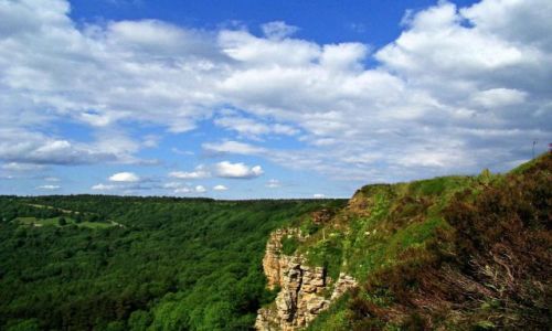 Zdjecie ANGLIA / North Yorkshire / The Hambleton Hill / urokliwe miejsce