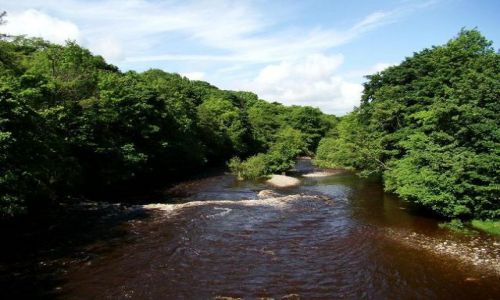 Zdjęcie ANGLIA / Weardale / Wolsingham / river Wear