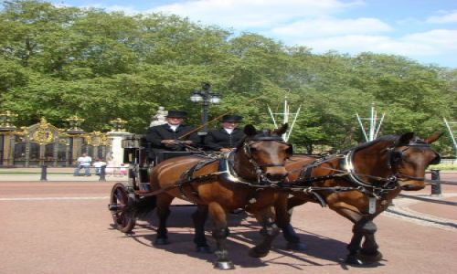 Zdjecie ANGLIA / Londyn / Buckingham Palace / Karoca