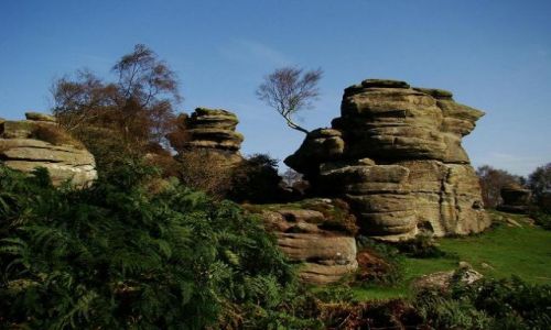 Zdjęcie ANGLIA / North Yorkshire / Brimham Rocks / park rzezb skalnych jesienia