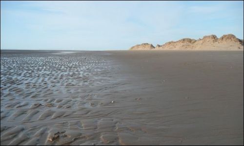 Zdjecie ANGLIA / Merseyside / Ainsdale / Wydmy w Ainsdale