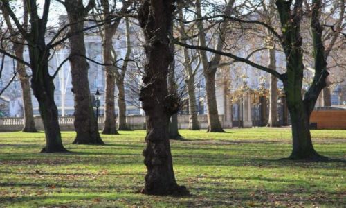 Zdjęcie ANGLIA /  Westminster / Londyn  / Buckingham Palace