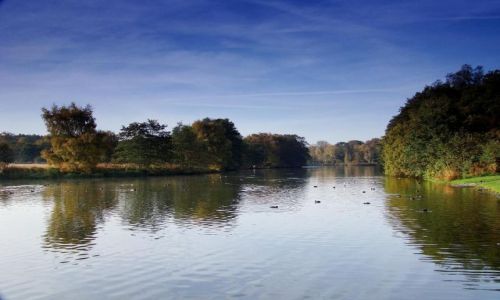 Zdjęcie ANGLIA / Notthingamshire / Clumber Park / Clumber Park