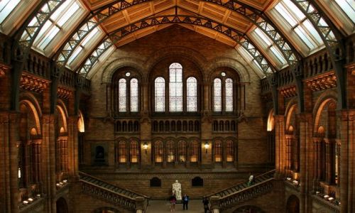 Zdjęcie ANGLIA / Londyn / Natural History Museum / Muzeum Historii Naturalnej