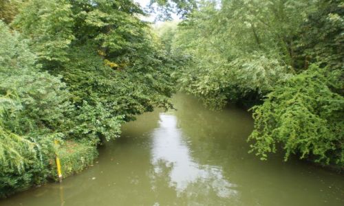 Zdjęcie ANGLIA / - / Oxford / Rzeka w Oxfordzie