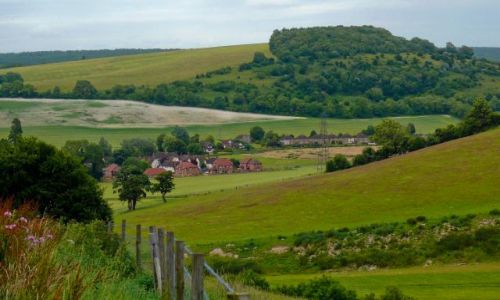 Zdjecie ANGLIA / West Sussex / Singleton /  Pola West Sussex