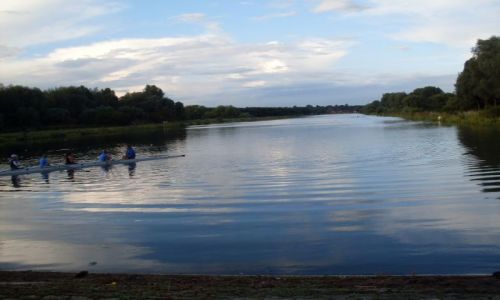 Zdjęcie ANGLIA / - / Nene Park / park
