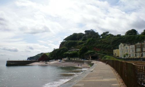 Zdjęcie ANGLIA / - / Dawlish / Dawlish