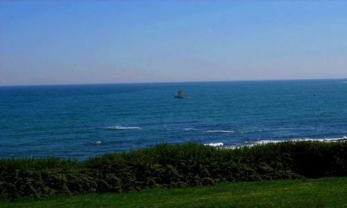 Zdjęcie ANGLIA / Cornwall / Mawnan Smith / Samotnik